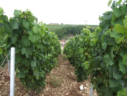 Nathalie & Gilles Fèvre_3