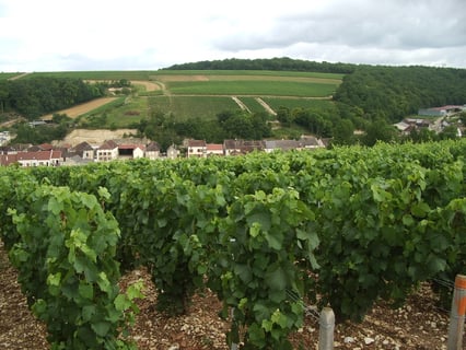 Nathalie & Gilles Fèvre_4