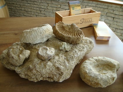 Nathalie & Gilles Fèvre_7