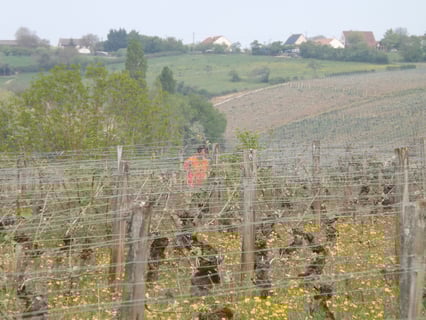 Nicolas Raspiller_10