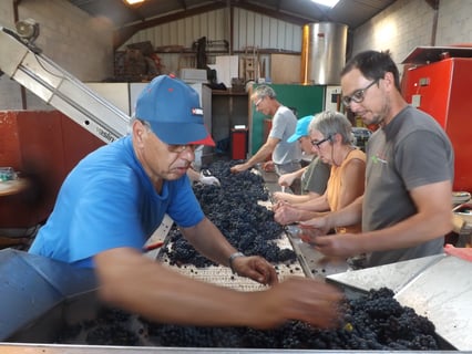 Nicolas Raspiller_13