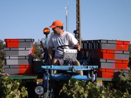 Nicolas Raspiller_14