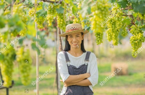 search-block-list-02