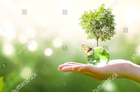 search-block-list-03