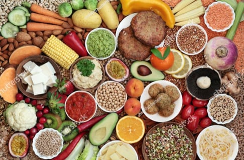 search-block-list-12