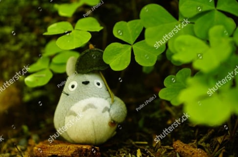 search-block-list-14