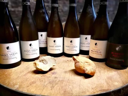 Pacaud Vignerons_19