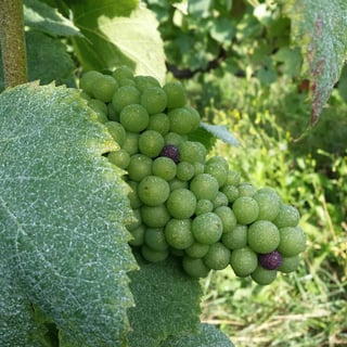 Paul-Sadi Virgile Portier_3