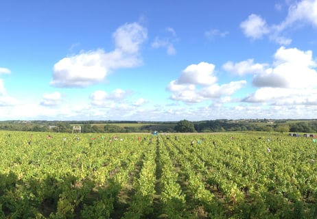 Pierre et Chantal Lieubeau_4