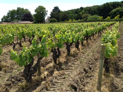 Pierre et Chantal Lieubeau_5