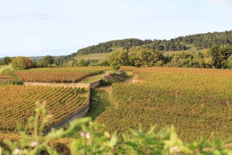 Stéphane de Sousa_21