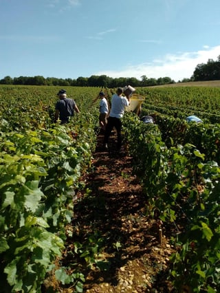 Stéphane de Sousa_12