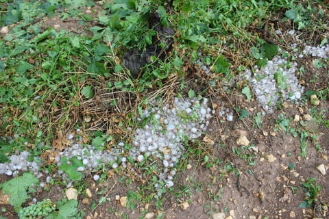 Stéphane de Sousa_4