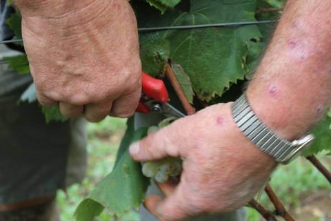 Stéphane de Sousa_18