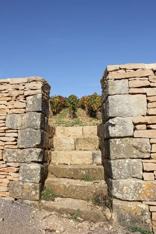 Stéphane de Sousa_3