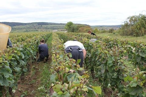 Stéphane de Sousa_9