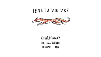 Tenuta Volpare Trentino Chardonnay