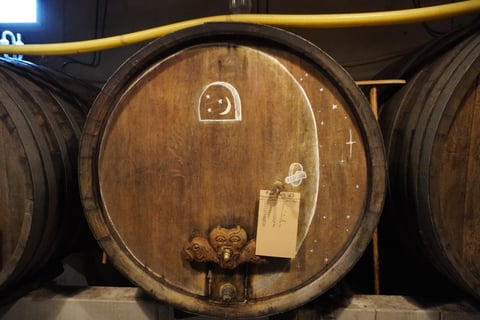 Terres détoiles_Christophe Mittnacht_12