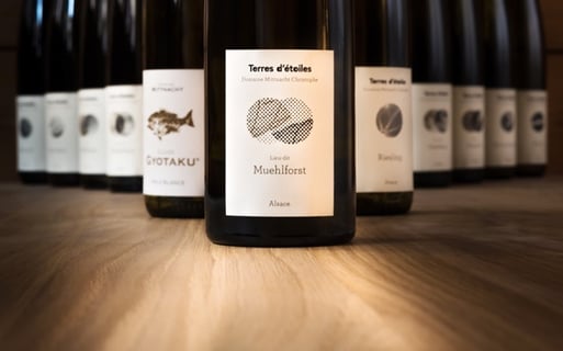 Terres détoiles_Christophe Mittnacht_13