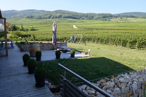 Terres détoiles_Christophe Mittnacht_4