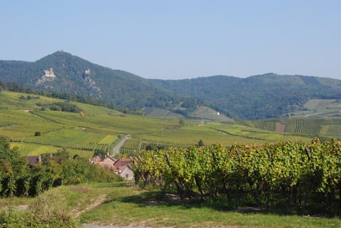 Terres détoiles_Christophe Mittnacht_5