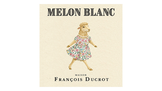 The Sheep (by Maison François Ducrot) Melon Blanc