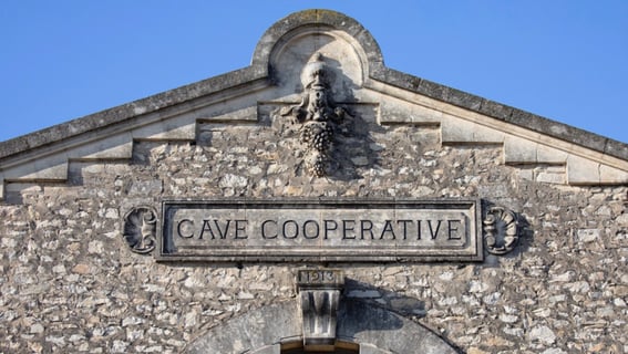 The Sheep_by Maison François Ducrot)_1