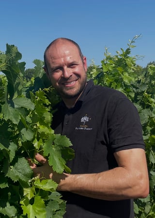 The Sheep_by Maison François Ducrot)_3