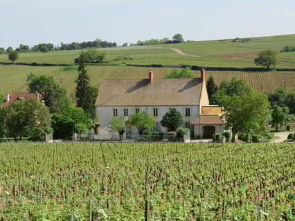 Thevenet Delouvin_2