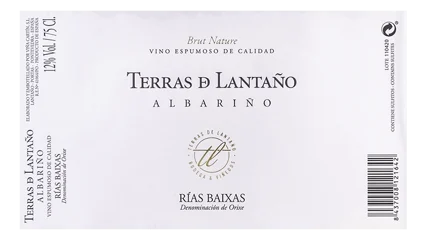 Viña Cartín Terras D Lantaño Albariño Brut Nature