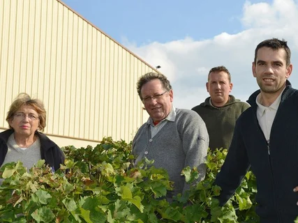 Vignoble Dauny