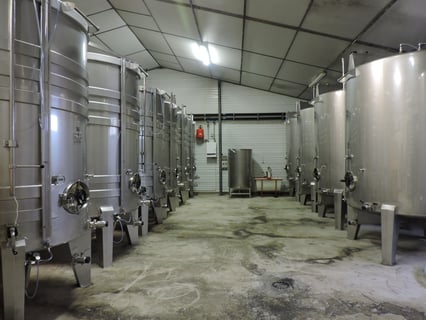 Vignoble Dauny_4