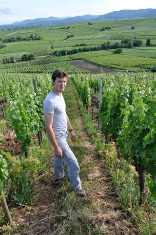 Vignoble du Rêveur_5