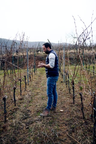Vignobles des 3 Terres(Sébastien Mann)_10