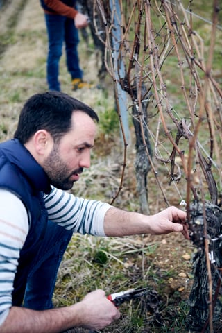 Vignobles des 3 Terres(Sébastien Mann)_11