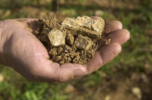 Vignobles des 3 Terres(Sébastien Mann)_15