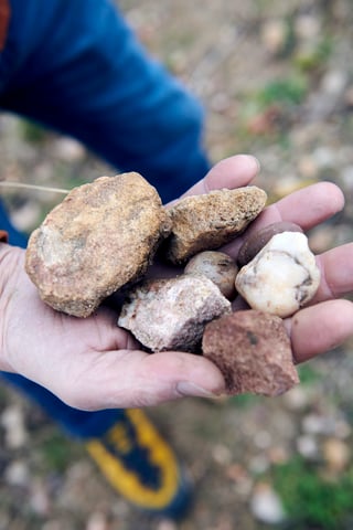 Vignobles des 3 Terres(Sébastien Mann)_16