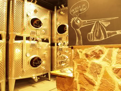 Vignobles des 3 Terres(Sébastien Mann)_19