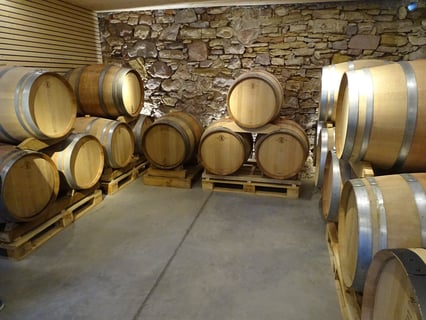 Vignobles des 3 Terres(Sébastien Mann)_20