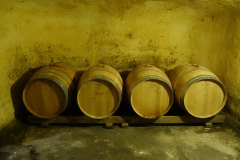 Vinícola del Priorat_11