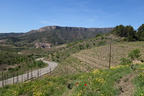 Vinícola del Priorat_5