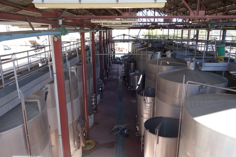 Vinícola del Priorat_9