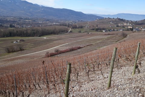 Yves Girard-Madoux_10