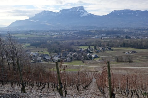 Yves Girard-Madoux_6