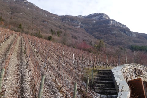 Yves Girard-Madoux_9