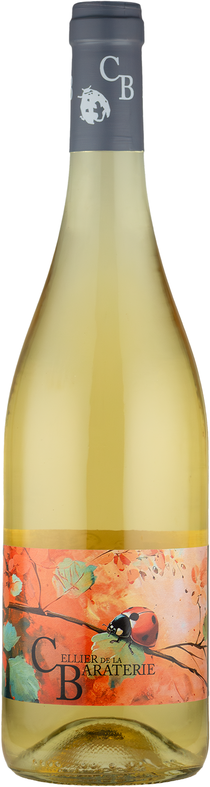 Cellier de la Baraterie (Julien Viana) Jacquère de Macération