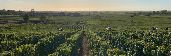 François Gaunoux MONOPOLE