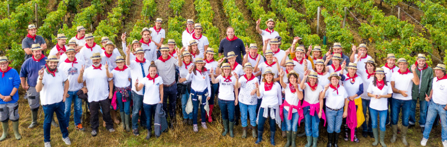 search-block-list-18