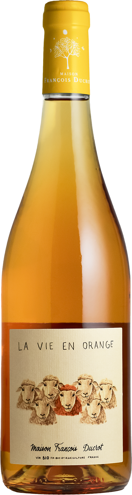 The Sheep (by Maison François Ducrot) La Vie en Orange