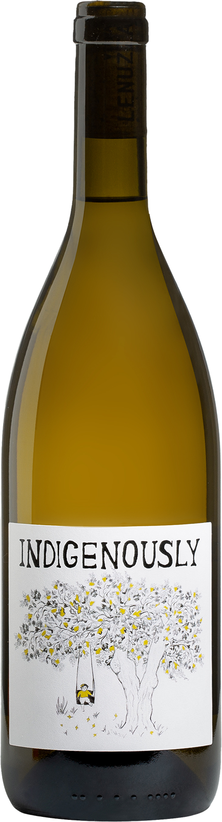 Vigna Lenuzza Indigenously Friulano